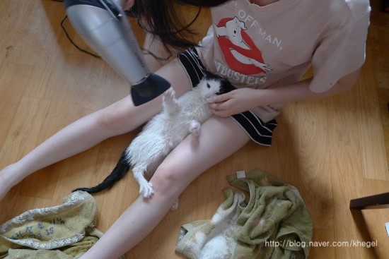 고양이보다 더 화제가 됐던 집사 | 인스티즈