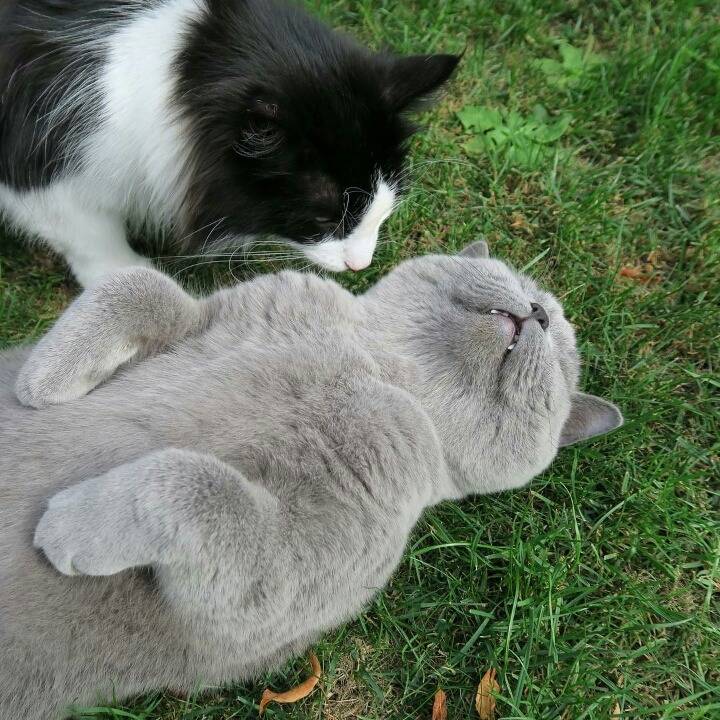 거대한 먼지덩어리들 | 인스티즈