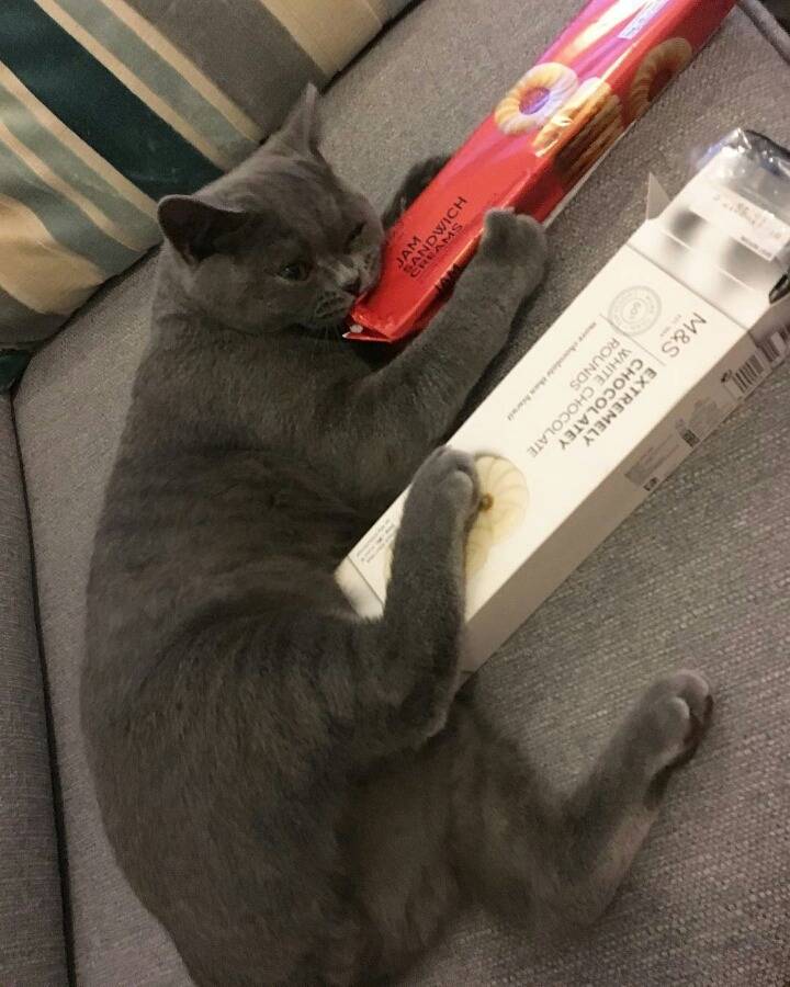 거대한 먼지덩어리들 | 인스티즈