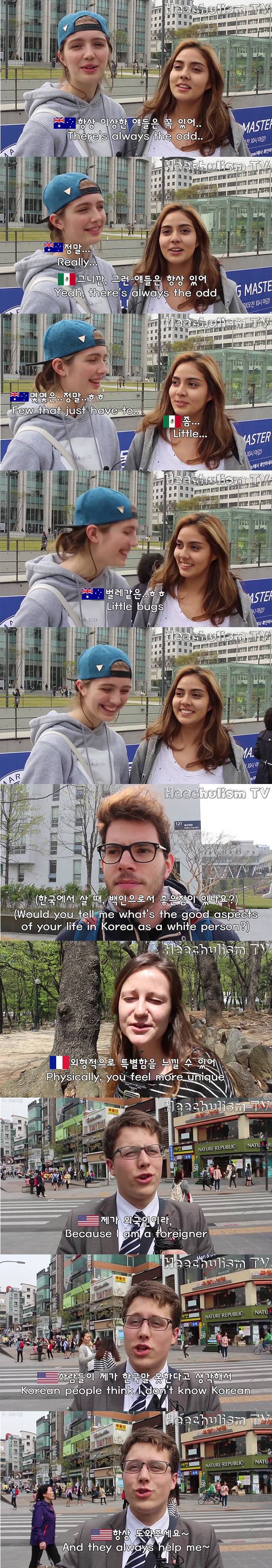 백인들이 말하는 한국의 백인 편견.jpg | 인스티즈