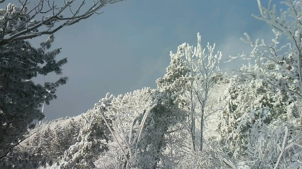 2017년 첫 눈 쌓인 산.jpg | 인스티즈