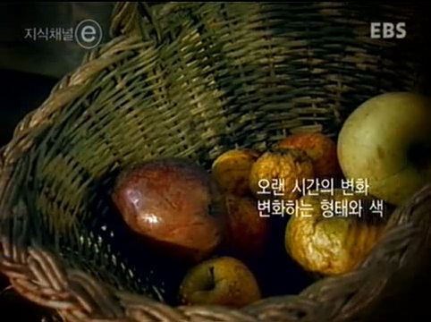 한 천재가 삼킨 네번째 사과 - 앨런튜링 | 인스티즈