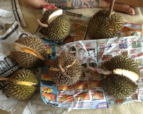  과일의 왕이라고 불리는 과일.jpg | 인스티즈