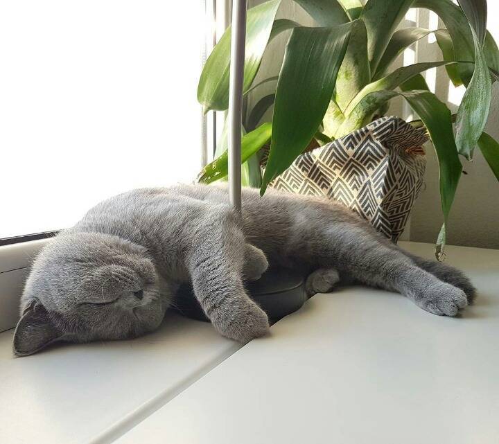 거대한 먼지덩어리들 | 인스티즈