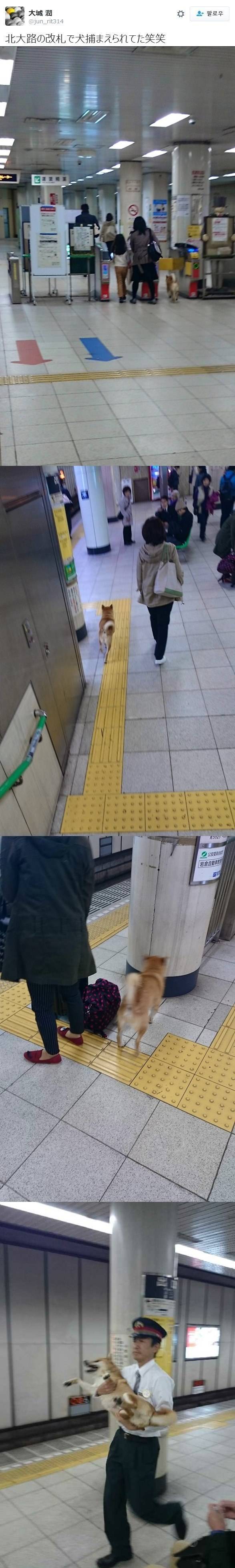 열도의 흔한 무임승차.jpg | 인스티즈