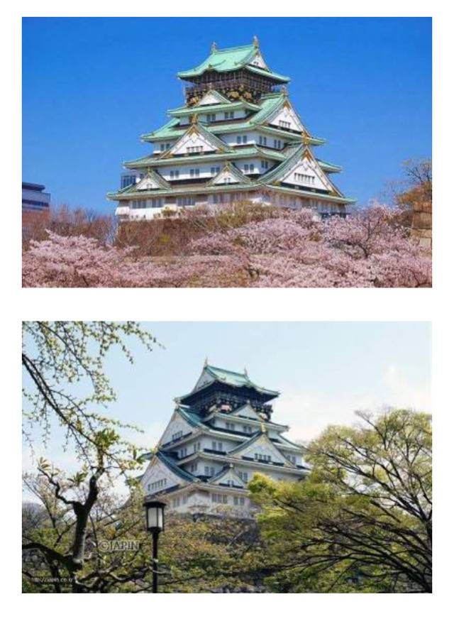 일본 오사카성 가지말아줘 오사카 성 의 진실임 이게 | 인스티즈