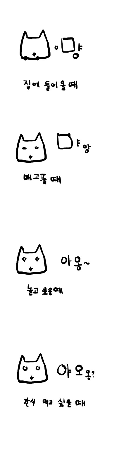 고양이 집사의 이야기2 [고양이의언어] | 인스티즈