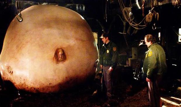 공포 영화 속 크리쳐들(혐오주의) | 인스티즈