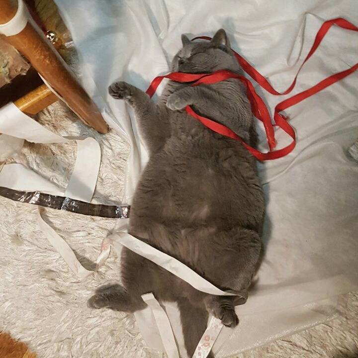 거대한 먼지덩어리들 | 인스티즈