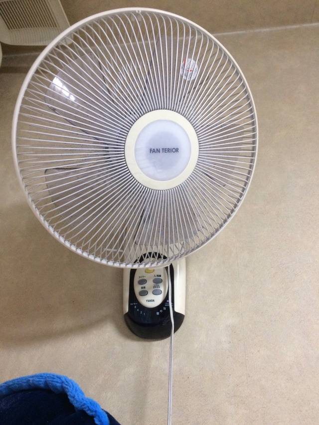 가오나시 | 인스티즈