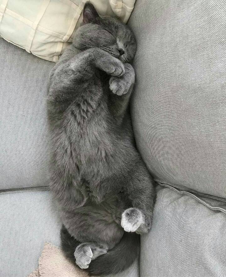 거대한 먼지덩어리들 | 인스티즈