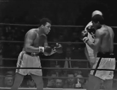 무하마드 알리 스피드 ㄷㄷ | 인스티즈