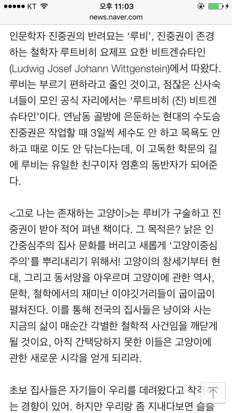 진중권의 고양이 인문학 고로 나는 존재하는 고양이 | 인스티즈