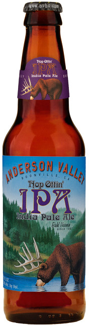 마트에서 볼 수 있는 IPA(India Pale Ale) 맥주들 | 인스티즈