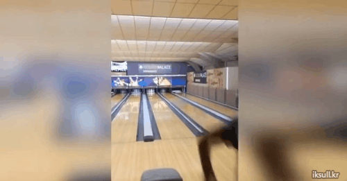 볼링공의 위력 | 인스티즈