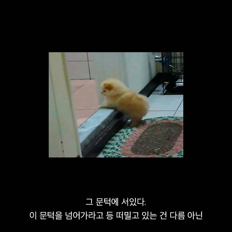 항생제의 역습 | 인스티즈