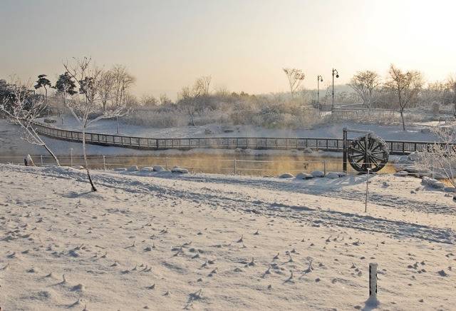 어느 지방 도시의 도심속 녹지.jpg | 인스티즈