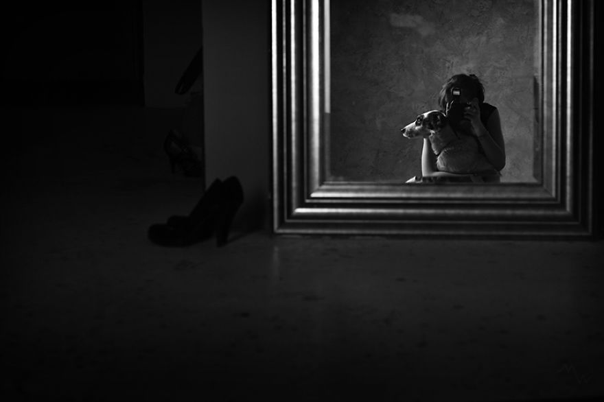 두 번 파양당한 뒤에 진짜 가족을 찾은 강아지 | 인스티즈