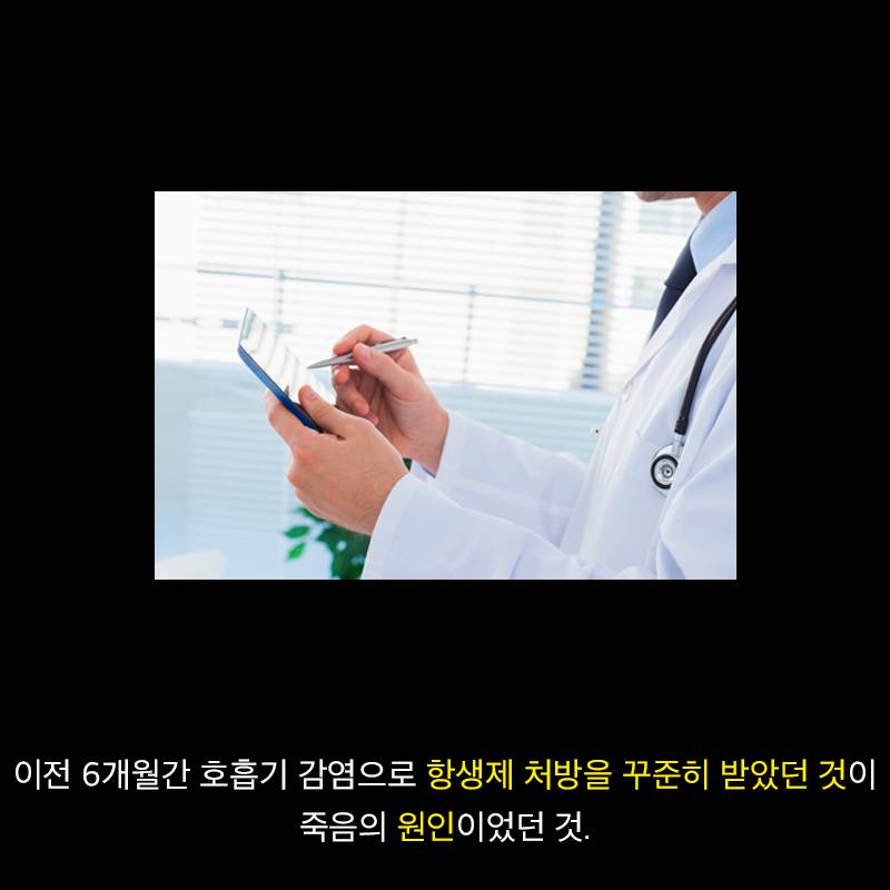 항생제의 역습 | 인스티즈