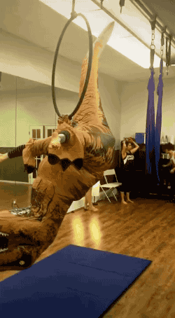 귀여운 동물들 | 인스티즈