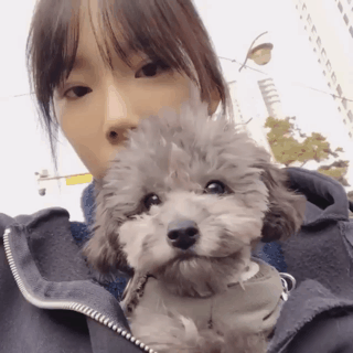 탱스타그램.gif | 인스티즈