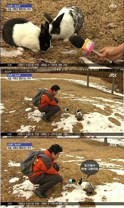 많이 성장한 jtbc | 인스티즈