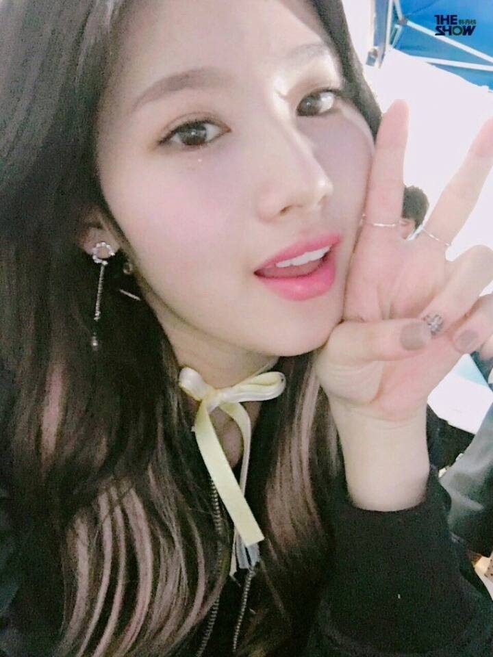 더쇼-트와이스 | 인스티즈