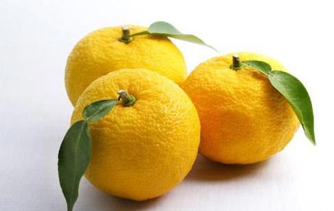 많은 사람들이 맛은 알지만 실제로 먹어본 적은 없은 과일.jpg | 인스티즈