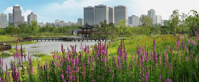 어느 지방 도시의 도심속 녹지.jpg | 인스티즈