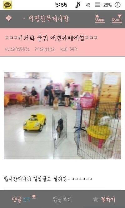 남자분들여자가슴만지는이유 | 인스티즈