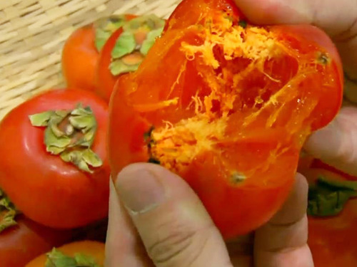 홍시 이혼 사건 | 인스티즈