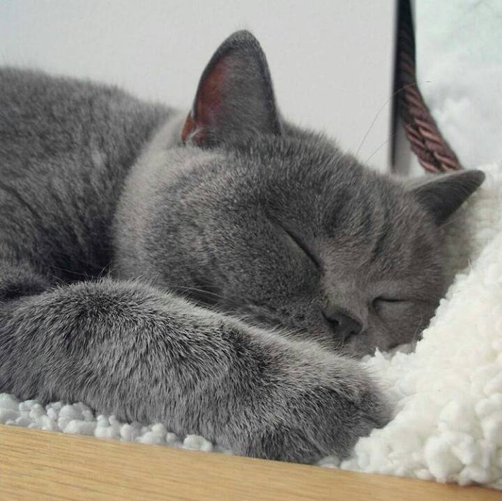 거대한 먼지덩어리들 | 인스티즈