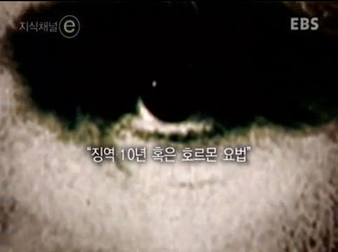 한 천재가 삼킨 네번째 사과 - 앨런튜링 | 인스티즈