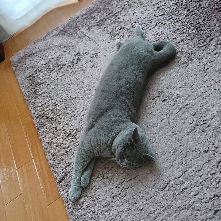 거대한 먼지덩어리들 | 인스티즈