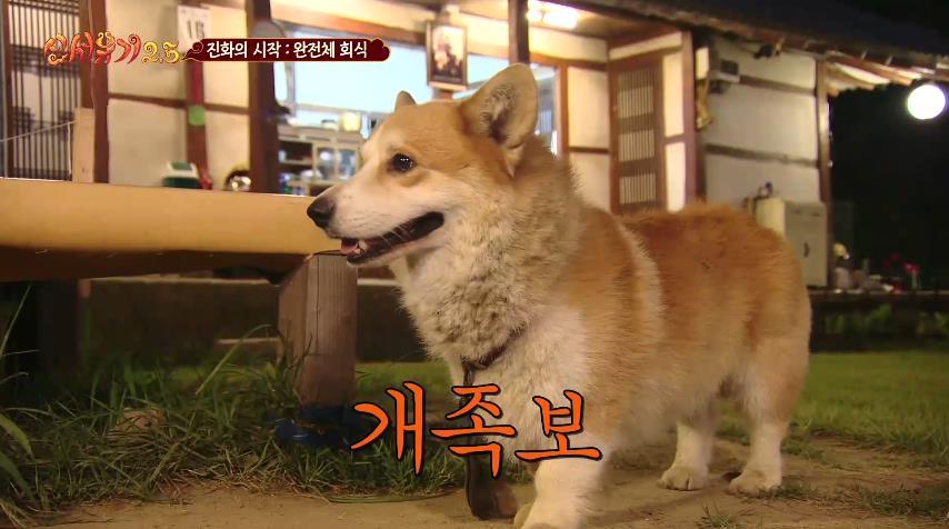 신서유기 족보 정리.jpg | 인스티즈