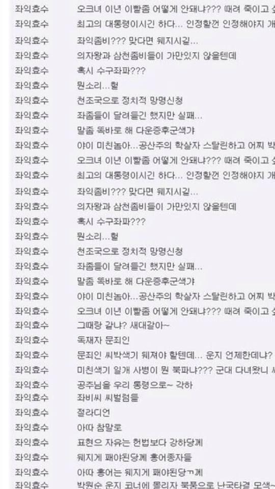 국정원 직원들이 쓴 댓글.jpg | 인스티즈