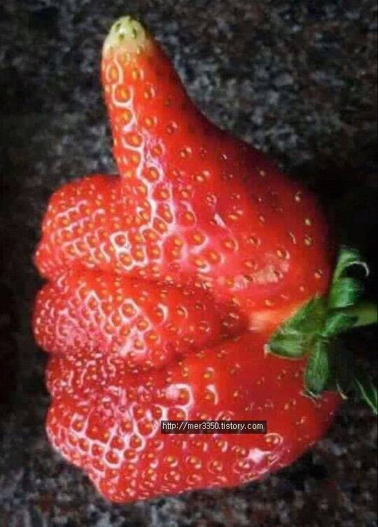 문재인 신의 한수 | 인스티즈