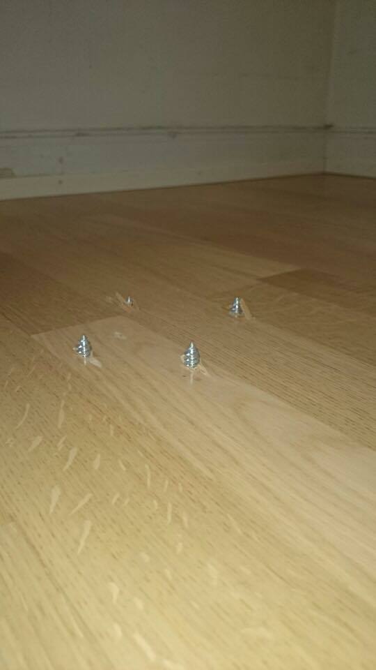 아랫집에서 새싹이 올라왔다... | 인스티즈