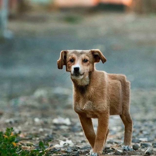 돔물믜 뫔국.jpg | 인스티즈