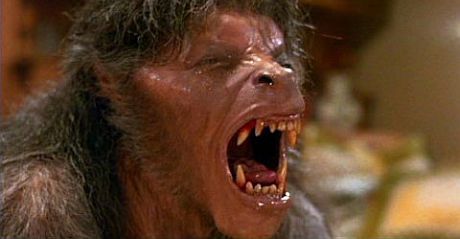 공포 영화 속 크리쳐들(혐오주의) | 인스티즈