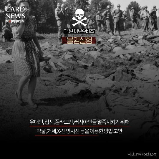 일제의 만행 | 인스티즈