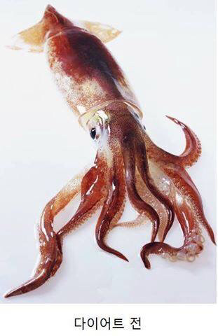 다이어트 전후 | 인스티즈