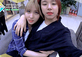 바보 모모와 아기 맹수 채영이 심쿵 움짤... (feat. AOA - 심쿵해) | 인스티즈