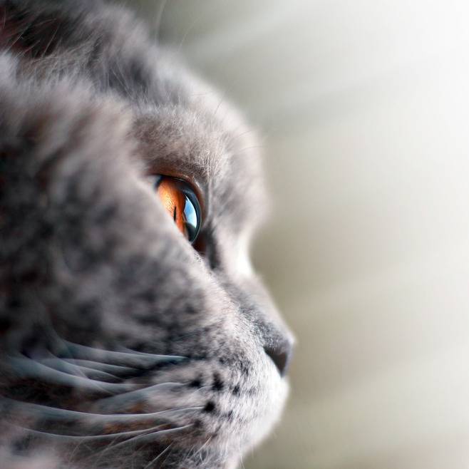 투명한 유리구슬처럼 보이지만~ | 인스티즈