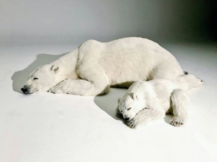 흔한 인형의 디테일ㄷㄷㄷ | 인스티즈