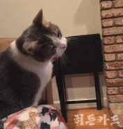 프로듀스 101 김청하 | 인스티즈