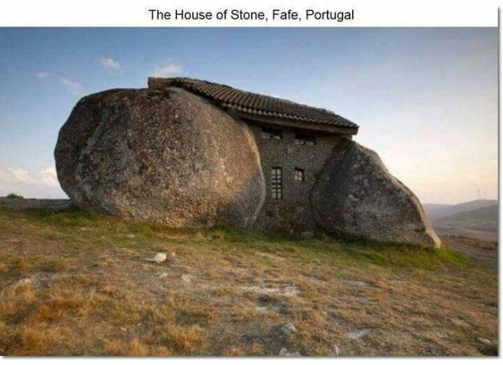 특이한 디자인의 집들 | 인스티즈