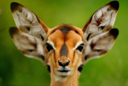 사진 못 찍는 애들이 찍은 사진들 특징 | 인스티즈