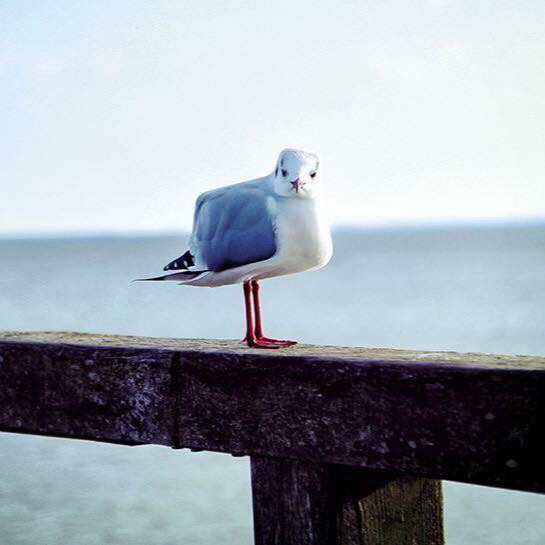 돔물믜 뫔국.jpg | 인스티즈