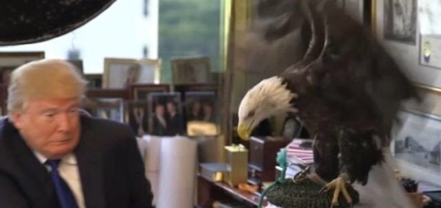 트럼프가 맘에 안드는 미국의 상징.jpg | 인스티즈